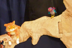 OLYMPUS DIGITAL CAMERA